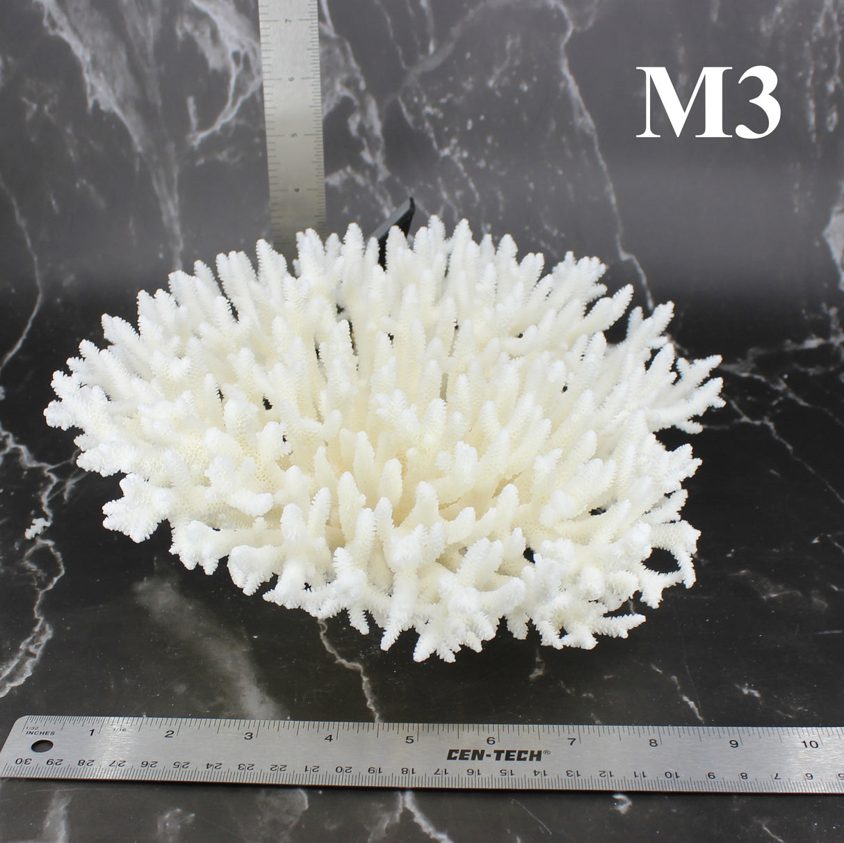 Table Coral 10-12"