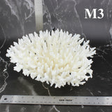 Table Coral 10-12"