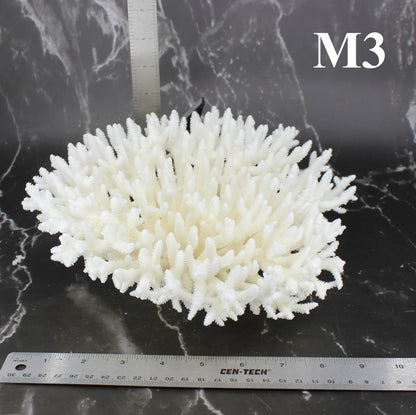 Table Coral 10-12"