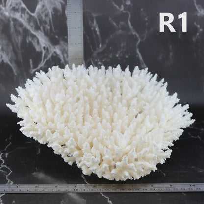 Table Coral 10-12"