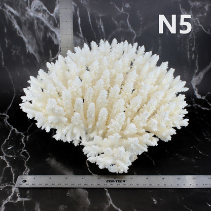 Table Coral 10-12"