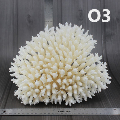 Table Coral 10-12"