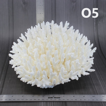 Table Coral 10-12"