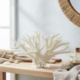 Staghorn Coral 10-12"