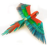 Macaw Parrot - Color