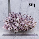 Barnacles 12-14"