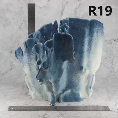 Blue Coral 12-14"