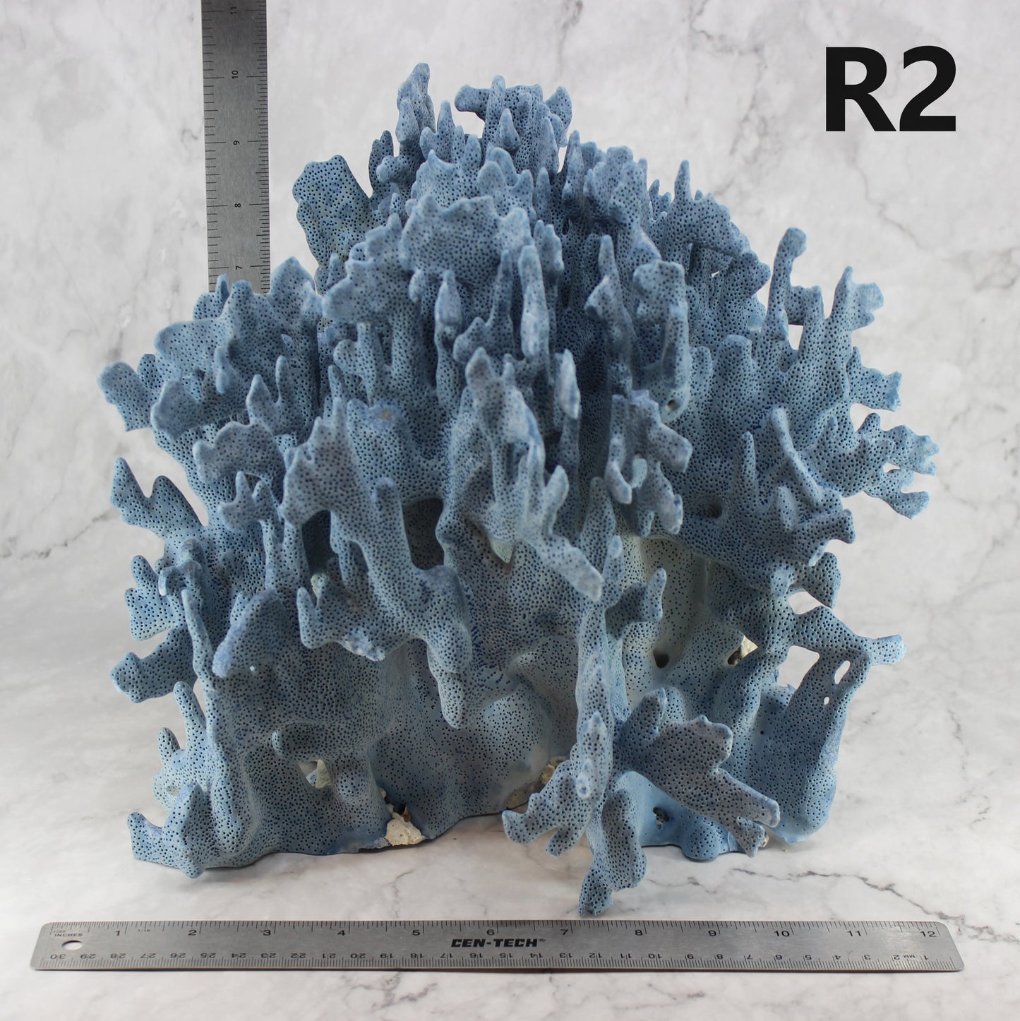 Blue Coral 12-14"