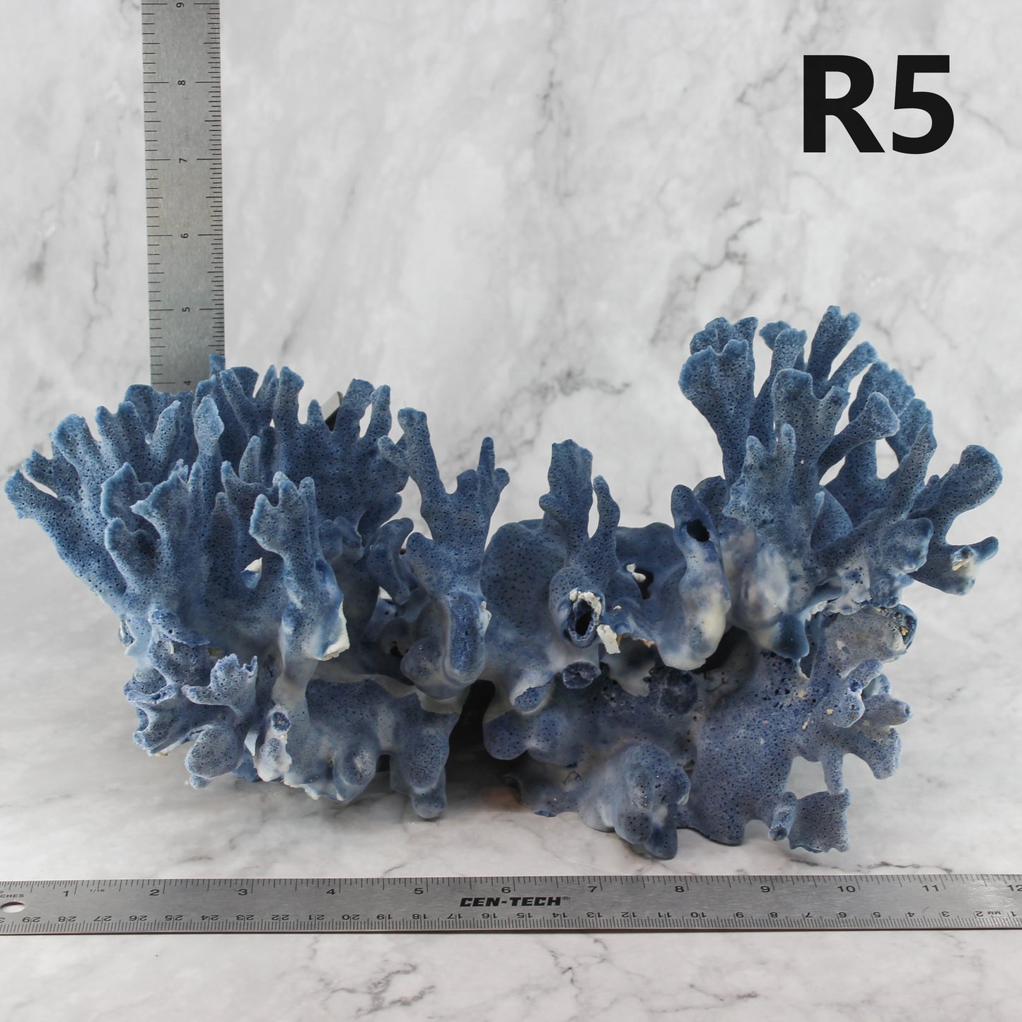 Blue Coral 12-14"