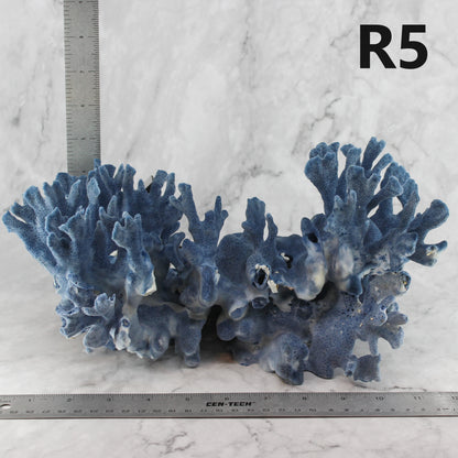 Blue Coral 12-14"