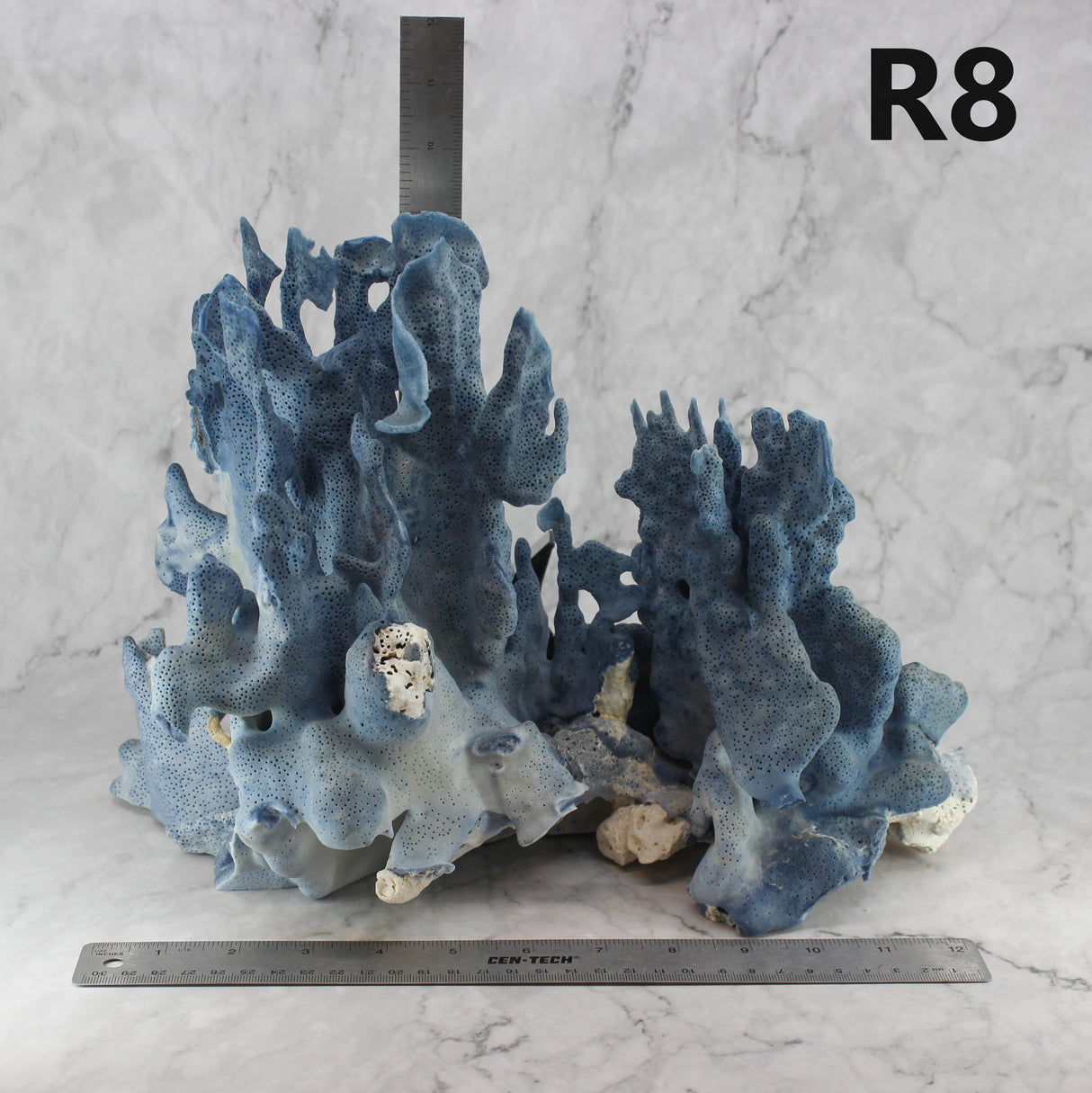 Blue Coral 12-14"