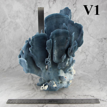Blue Coral 12-14"