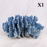 Blue Coral 12-14"