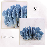 Exclusive Coral Drop | Week 1