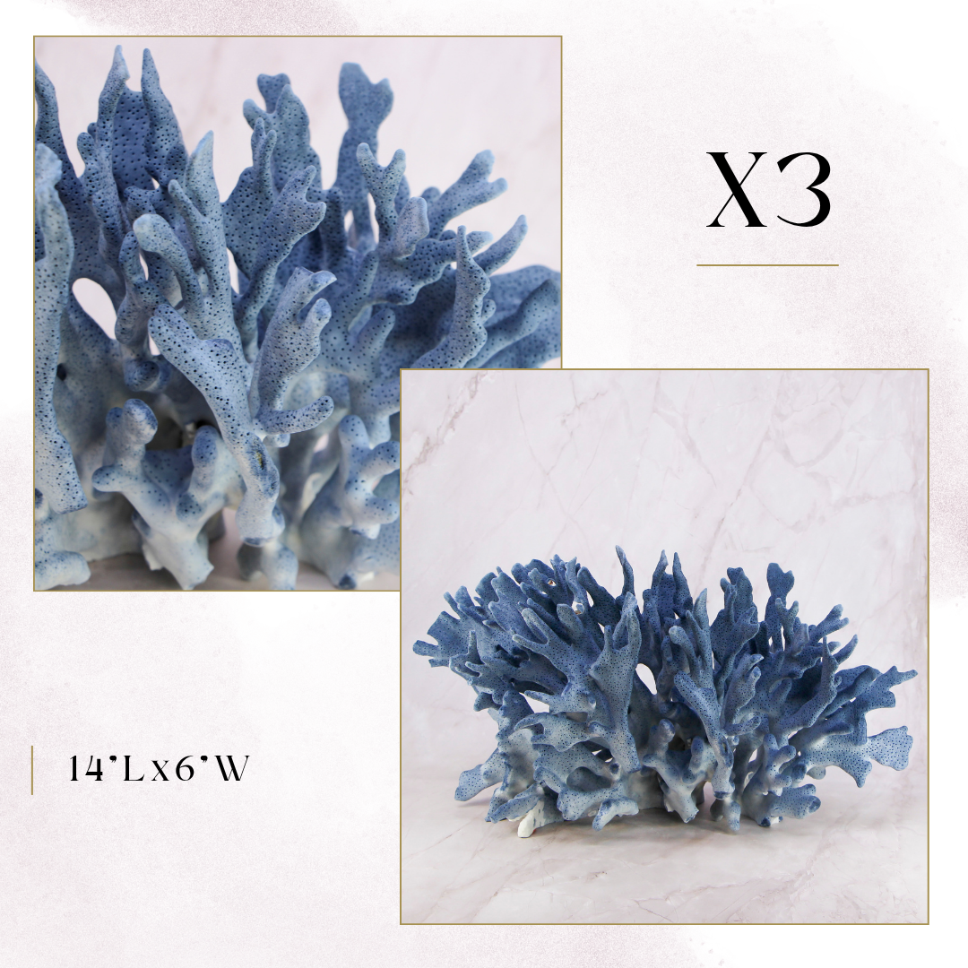 Exclusive Coral Drop | Week 1