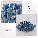 Exclusive Coral Drop | Week 1