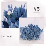 Exclusive Coral Drop | Week 1