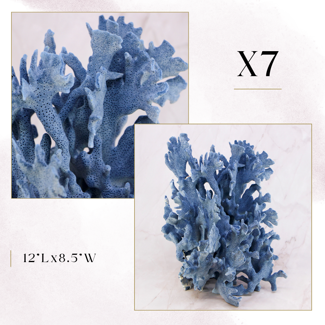Exclusive Coral Drop | Week 1