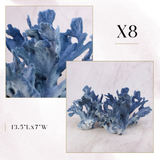 Exclusive Coral Drop | Week 1
