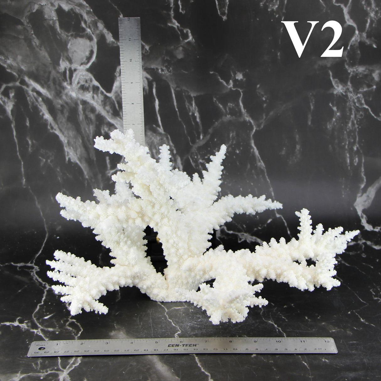 Branch Coral 12-14"