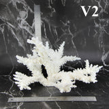 Branch Coral 12-14"