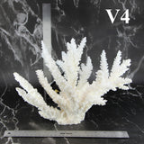 Branch Coral 12-14"