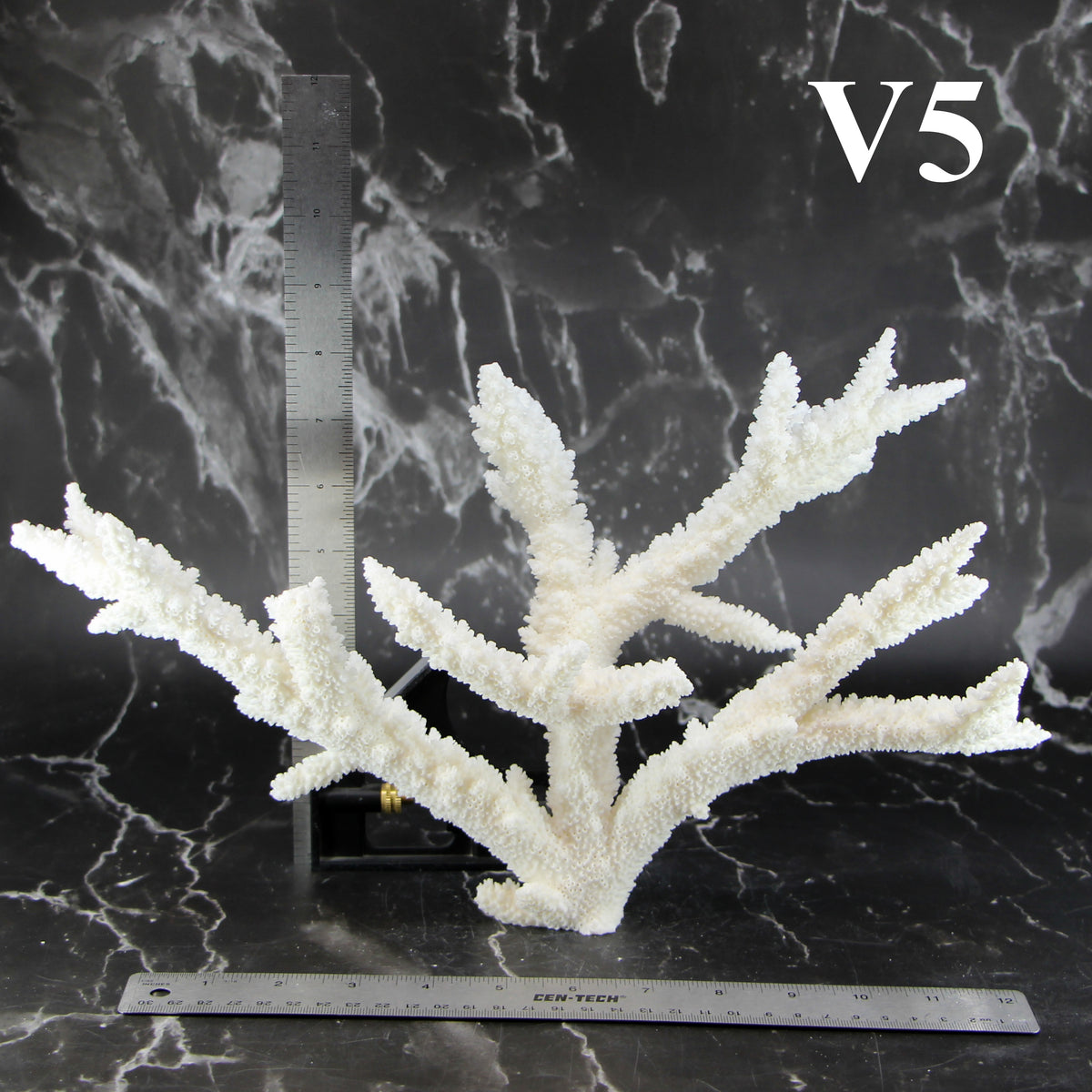 Branch Coral 12-14"
