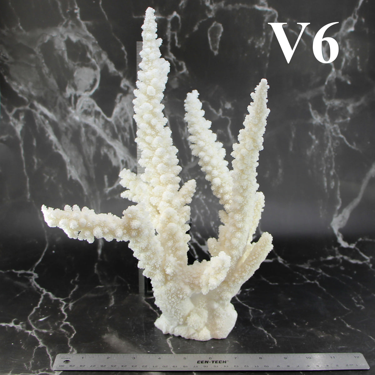 Branch Coral 12-14"