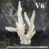 Branch Coral 12-14"