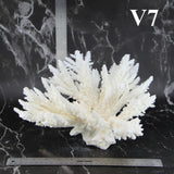 Branch Coral 12-14"
