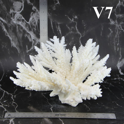 Branch Coral 12-14"