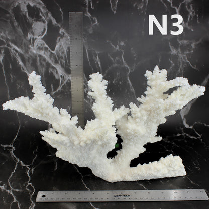 Branch Coral 12-15"