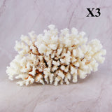 Brownstem Coral 12-14"