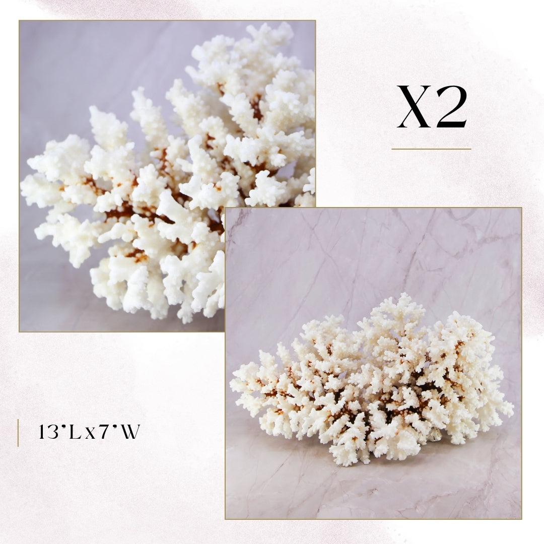 Exclusive Coral Drops | Week 2