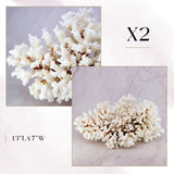 Exclusive Coral Drops | Week 2