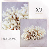 Exclusive Coral Drops | Week 2