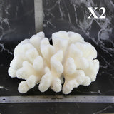 Cauliflower Coral 12-14"