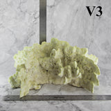 Fire Slab Coral 12-14"