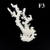 Octopus Coral 12-14"