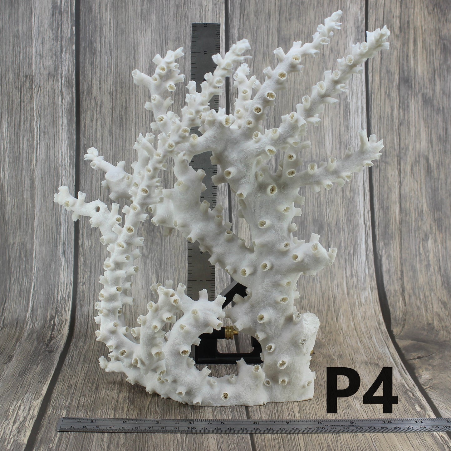 Octopus Coral 12-14"