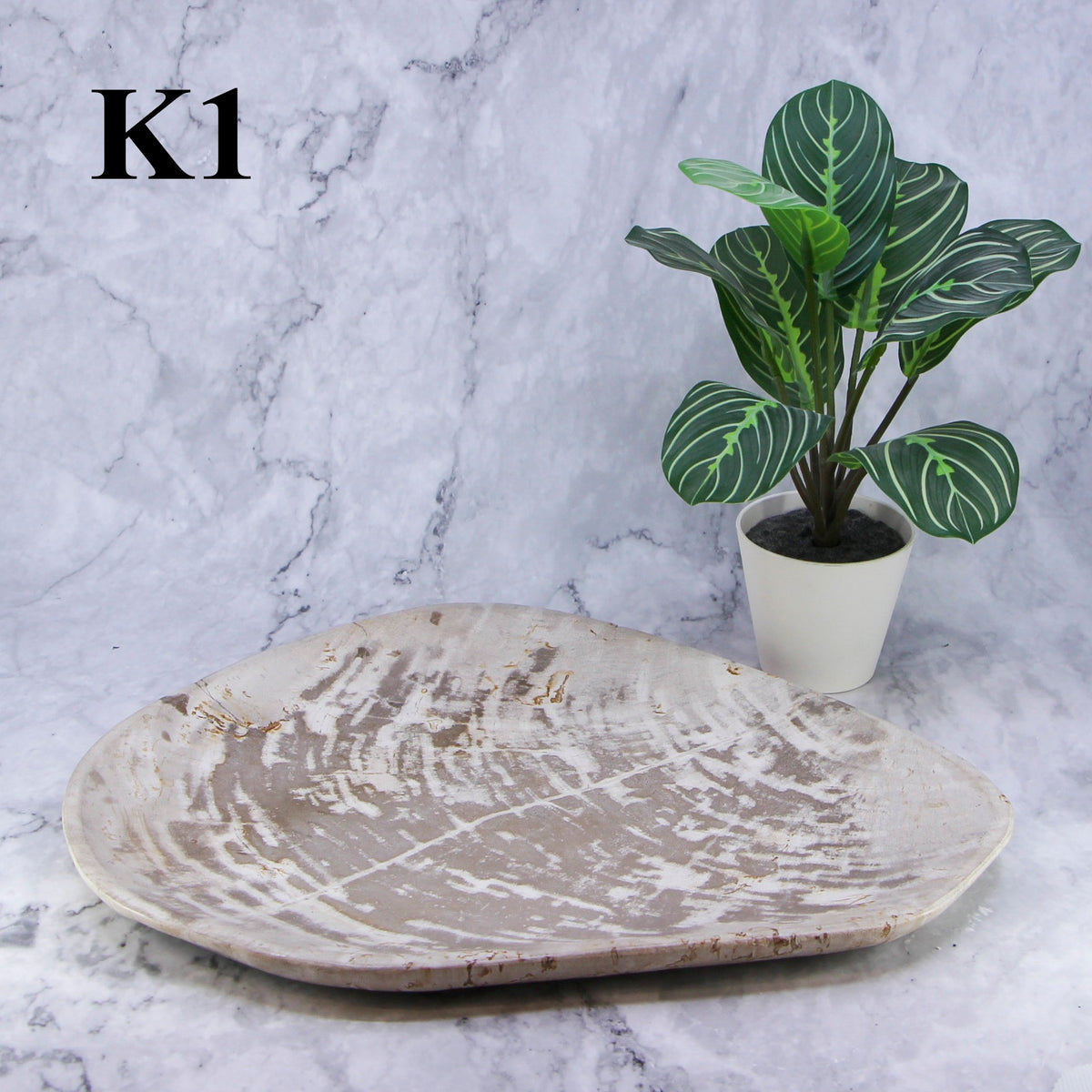 Petrified Wood Plates 12-14"