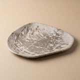 Petrified Wood Plates 12-14"