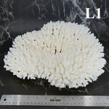 Table Coral 12-14"