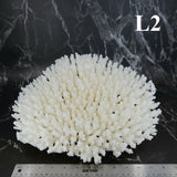 Table Coral 12-14"