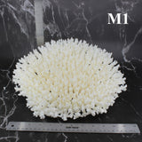 Table Coral 12-14"