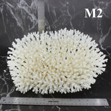 Table Coral 12-14"