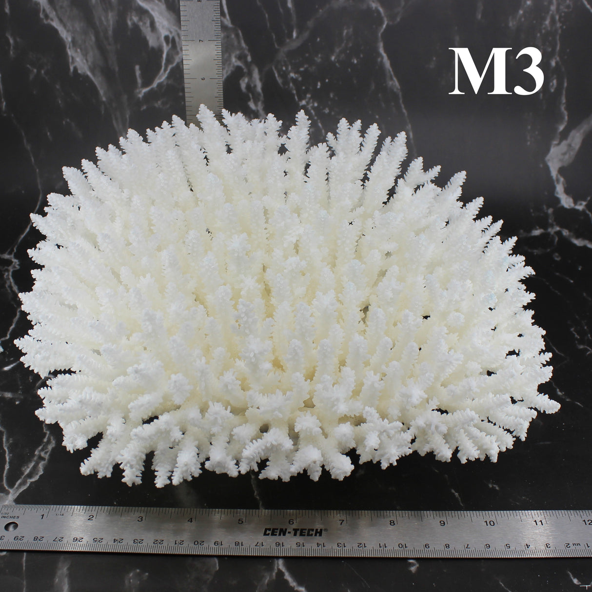 Table Coral 12-14"