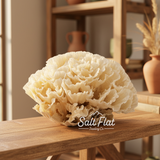 Poca Coral 12-14"