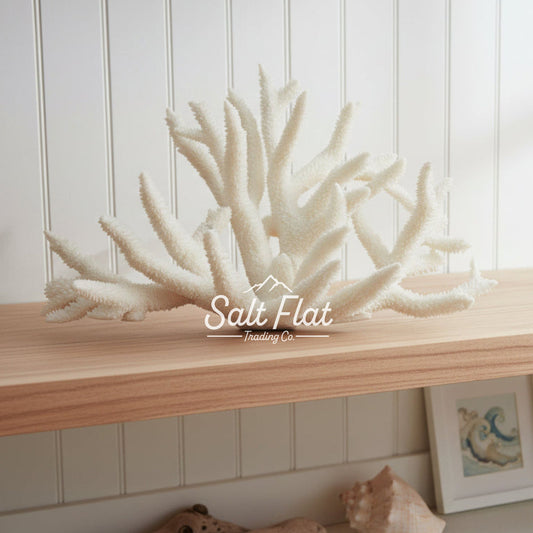Staghorn Coral 12-14"