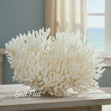 Table Coral 14-18"